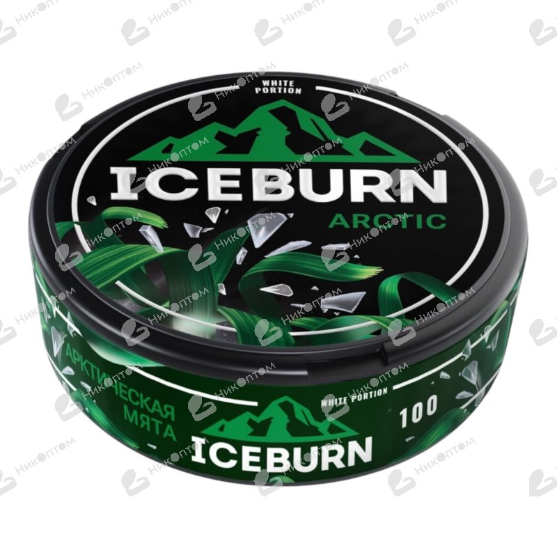 ICEBURN - ARCTIC - Арктическая Мята (100mg)